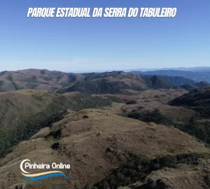 Pinheira Online Parque Estadual da Serra do Tabuleiro